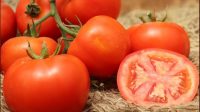 5 Manfaat Tomat Untuk Kesehatan