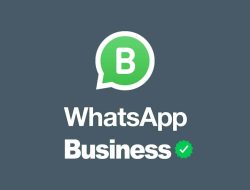 WhatsApp Business Mod Apk Terbaru 2023 Anti Banned