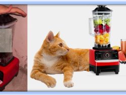 [Watch] Cat.In.Blender.5555 & Video Gato Licuadora