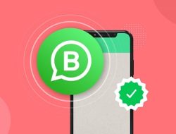 [Work 100%] Cara Mendapatkan Centang Hijau di WhatsApp Bisnis