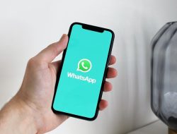 Cara Backup WhatsApp iPhone ke iCloud Otomatis