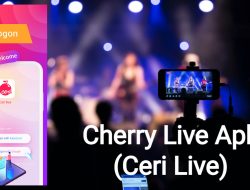 Download dan Mainkan Cherry Live Mod Apk v2.7.9 Versi Terbaru 2023