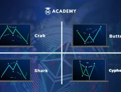 4 Cara Trading Memanfaatkan Harmonic Crab Pattern Bagi Pemula